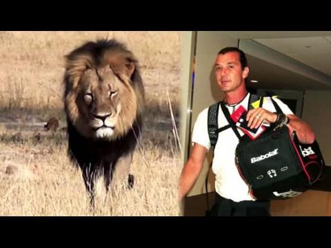 VIDEO : Gavin Rossdale and Other Celebrity Outrage Over Cecil the Lion Killing