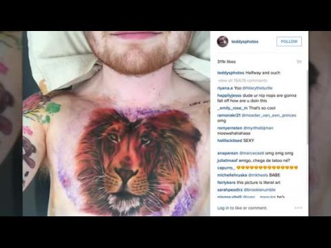 VIDEO : Ed Sheeran Gets Massive Lion Tattoo on His Chest