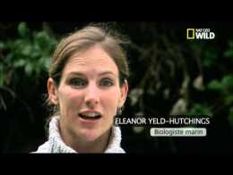 avis rencontre requin marineland
