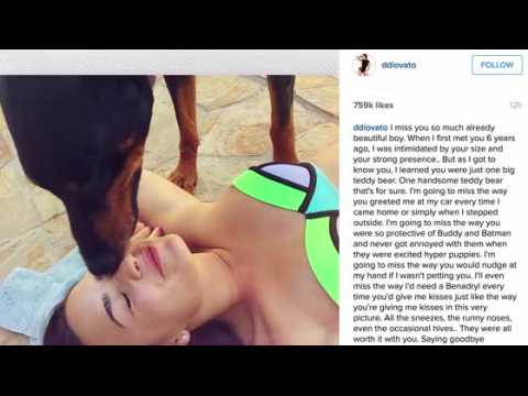 VIDEO : Demi Lovato pleure la perte d'un autre chien