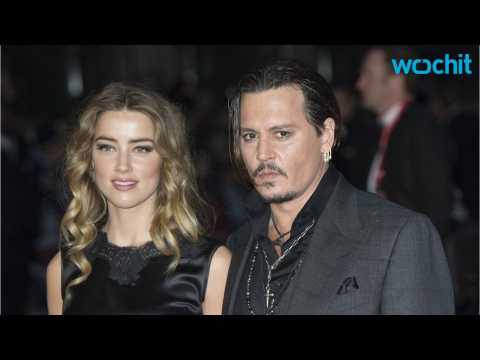 VIDEO : Amber Heard Pleads Not Guilty After Smuggling Dogs Into Australia