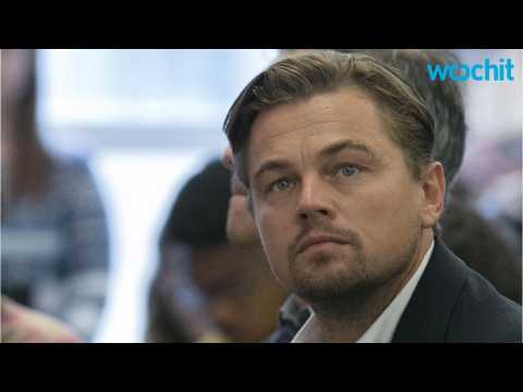 VIDEO : Critics Say 2016 Might Finally Be the Year Leonardo DiCaprio Wins an Oscar