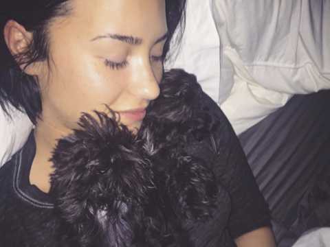 VIDEO : Exclu vido : Demi Lovato : Moment clin avec son chien !