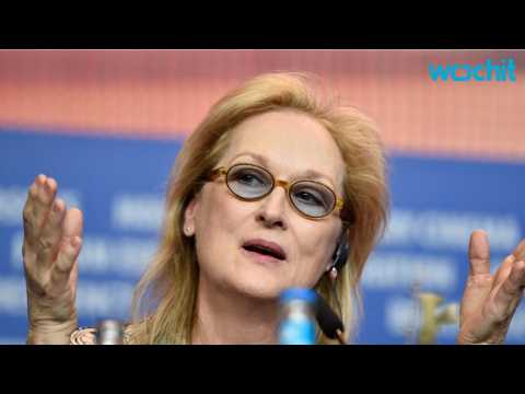 VIDEO : Meryl Streep Gives Curious Answer to Diversity Issue