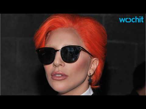 VIDEO : Lady Gaga Supports Friend's Brand Nicopanda