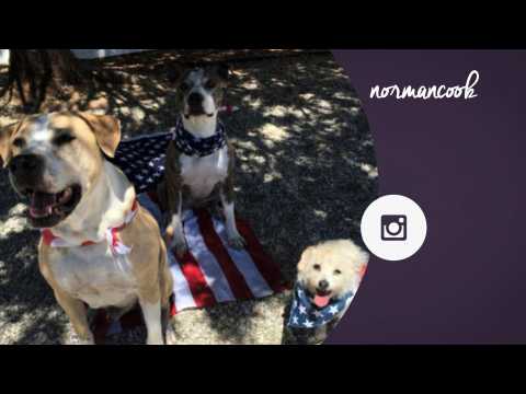 VIDEO : Kaley Cuoco apologises for inappropriate 4th of July photo