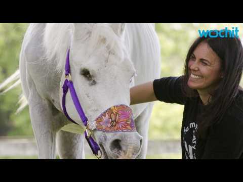 VIDEO : Jon Stewart's New Horse Not A Paintball Target