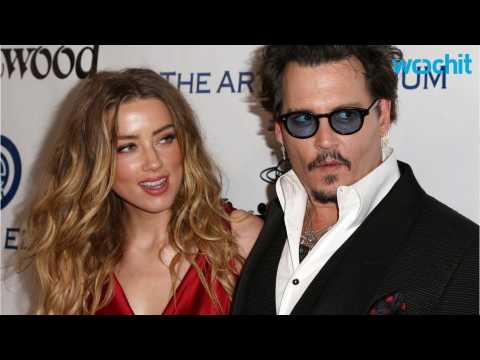 VIDEO : Amber Heard Divorcing Johnny Depp