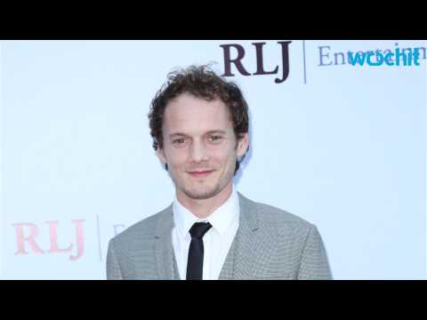 VIDEO : Anton Yelchin Is Honored After His Passing