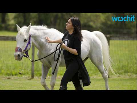 VIDEO : Horse Rescued by Jon Stewart's Family Meets Sudden, Tragic End