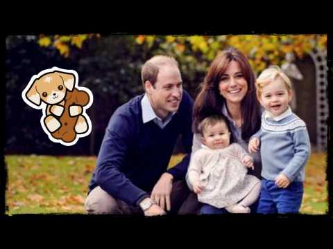 VIDEO : Kate Middleton et le prince William : La famille s?agrandit
