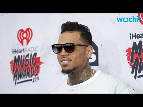 VIDEO : Instagram Fight For Chris Brown & Nia Guzman
