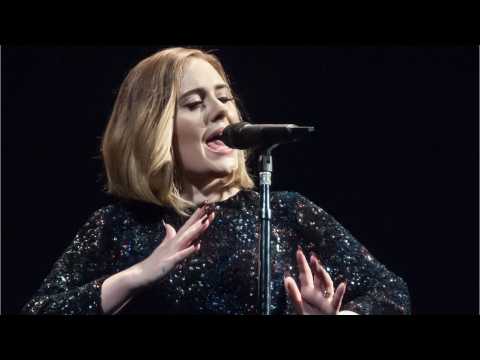 VIDEO : Adele's War With Bugs