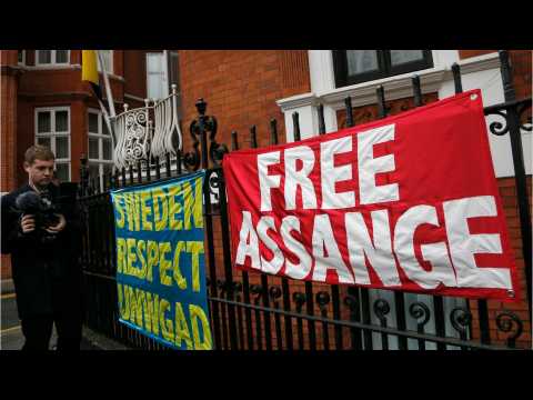 VIDEO : Showtime Nabs Julian Assange Documentary