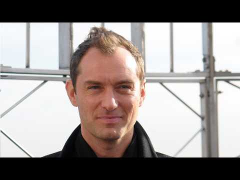 VIDEO : Jude Law Will Play Dumbledore In 'Fantastic Beasts' Sequel