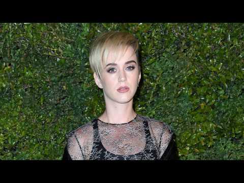 VIDEO : Katy Perry Posts Look-Alike Photo