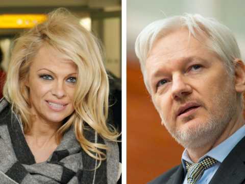 VIDEO : Pamela Anderson se jette finalement  l'eau pour Julian Assange !