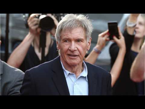 VIDEO : Harrison Ford Not Punished For Crazy Airplane Landing
