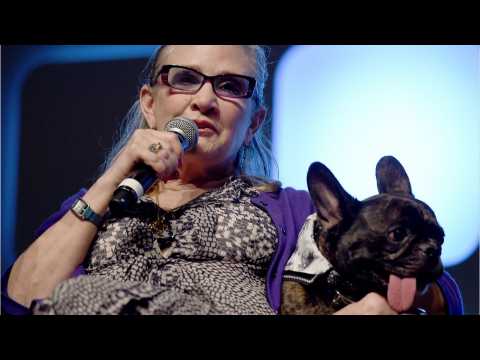 VIDEO : Who's Taking Care Of Carrie Fisher's Dog Now?
