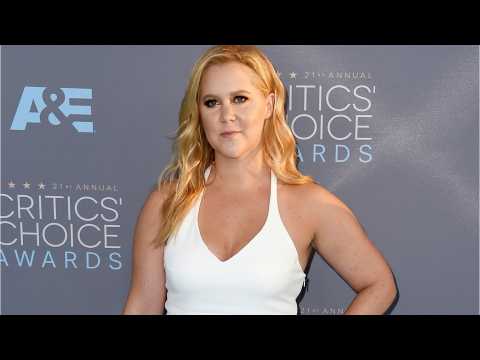 VIDEO : Swimsuit Designer Takes Heat for ?Fat-Shaming? Amy Schumer over InStyle ?Beauty? Magazine Co