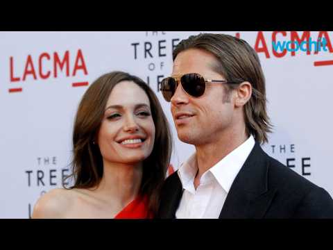 VIDEO : Brad Pitt Seeks Joint Custody Of His Kids In Divorce