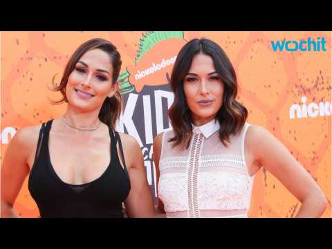 VIDEO : Brie Bella Stands Up For Sister Nikki