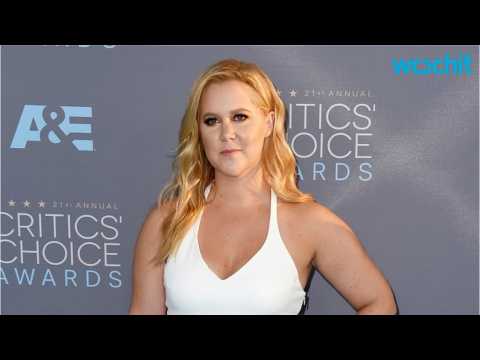 VIDEO : Amy Schumer Defends Her Beyonce Video