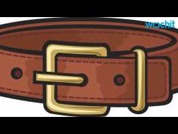 Inupathy - A Dog Collar That Reads Dog's Emotion