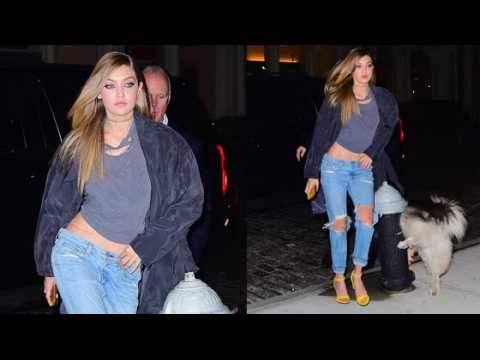 VIDEO : Gigi Hadid's Spotlight is Stolen by a Peeing Dog