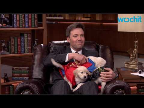 VIDEO : Batman v Superman's Ben Affleck Plays Puppy Trivia to Win Puppies