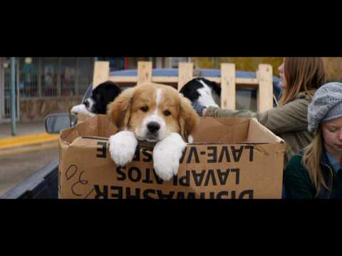 VIDEO : Britt Robertson, Dennis Quaid, Josh Gad In 'A Dog's Purpose' Trailer 1