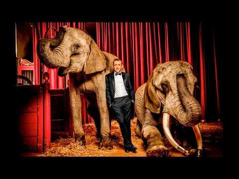 VIDEO : Dany Boon poids lourd du rire et les lphants du Cirque d?Hiver