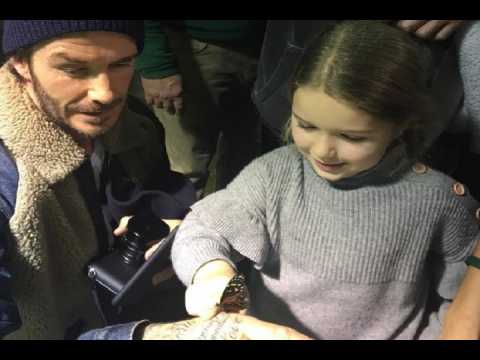 VIDEO : David Beckham olvida los escndalos con sus hijos