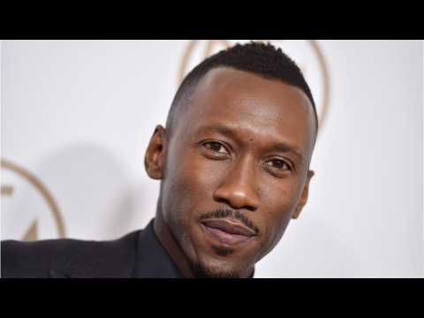 VIDEO : Mahershala Ali May Be Teaming Up With Tom Hardy And Channing Tatum