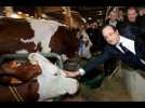 Hollande, en quatre Salons de l'agriculture