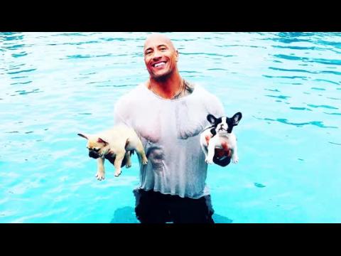 VIDEO : Dwayne 'The Rock' Johnson Saves His Puppies From a Pool