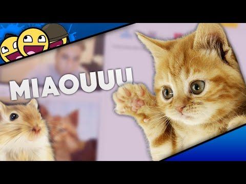 chat rencontre orange