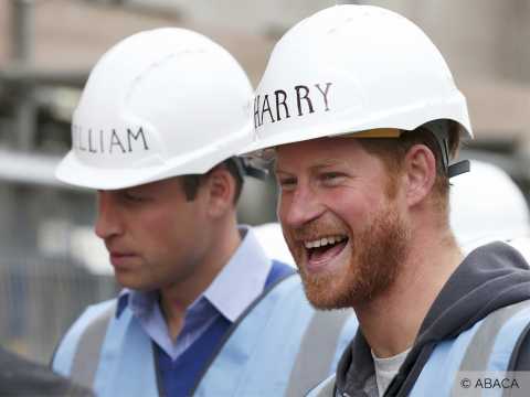 VIDEO : Exclu vido : William et Harry : deux princes qui se lancent dans la tl-ralit !