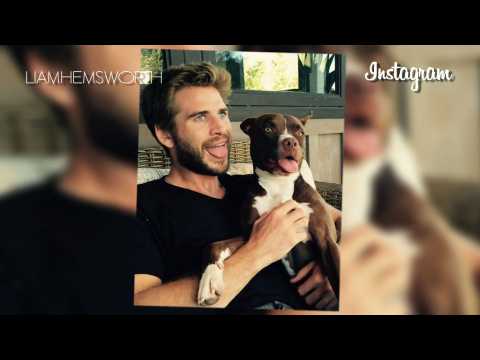 VIDEO : Liam Hemsworth is winning at Instagram