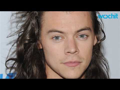 VIDEO : A Personal Bodyguard For Harry Styles