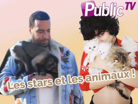 VIDEO : Les stars et les animaux : une grande histoire d?amour !