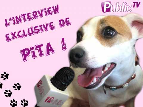 VIDEO : L?interview exclusive de Pita, la chienne de Nabilla  !
