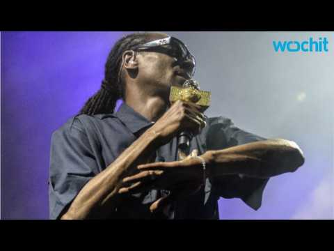 VIDEO : Snoop Dogg Concert Ends With Railing Collapse