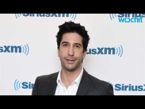 VIDEO : David Schwimmer Starring In New Drama 'Feed The Beast'
