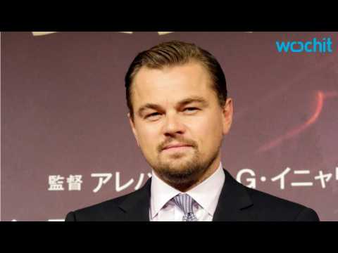 VIDEO : Leonardo DiCaprio and Nina Agdal Don't Get Hurt in Car Crash