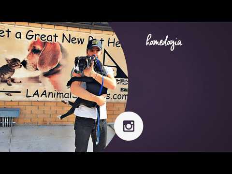 VIDEO : Chris Pine adopts a new friend