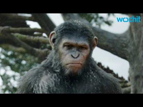 VIDEO : Will Andy Serkis Be In The Next 'Planet of the Apes'?