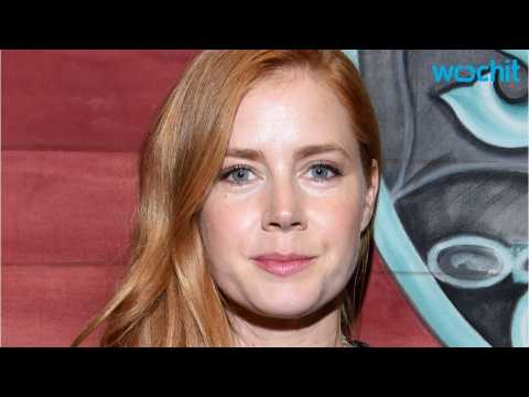 VIDEO : 'Batman V Superman' Actress Amy Adams Stands Up For Director Zack Snyder