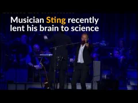 Sting's musical mind revealed by brain scan