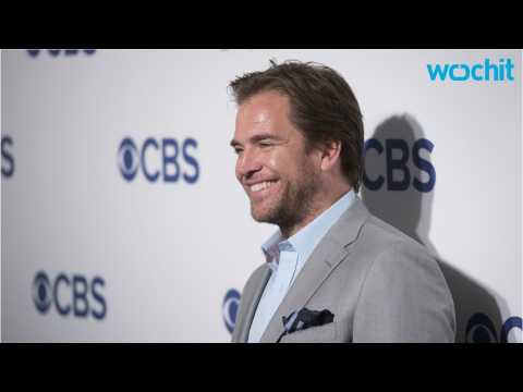 VIDEO : Michael Weatherly Moves From The Background To Star In 'Bull'
